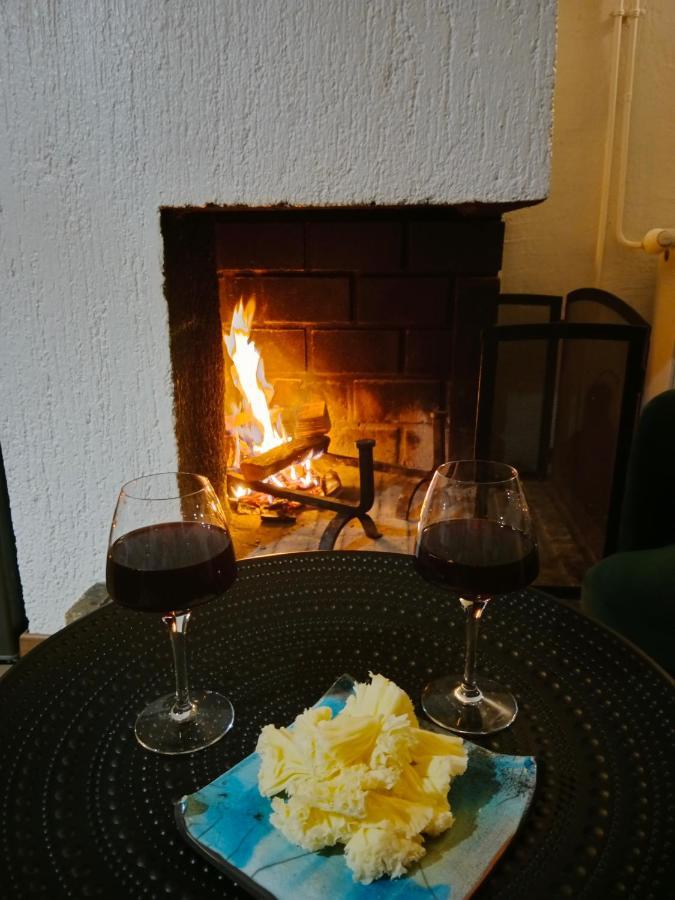 Gite Cosy Lac De Payolle Campan Kültér fotó