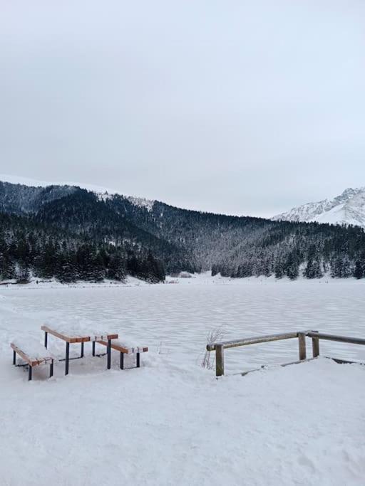 Gite Cosy Lac De Payolle Campan Kültér fotó